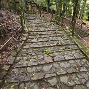 A cobble stone path leading through the grounds of Kasuga Taisha Shrine in Nara, Japan