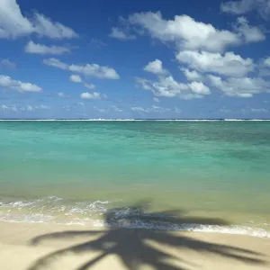 Coconut palm shadow on beach and Pacific Ocean, Rarotonga, Cook Islands, South Pacific