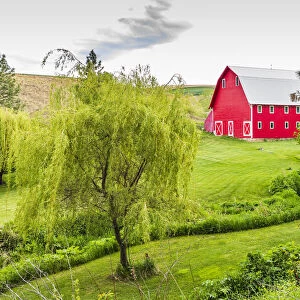 Colfax, Washington State, USA. A red barn on a farm in the Palouse hills