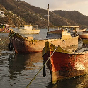 Colombia, Taganga. Fishing boats in harbor at sunset