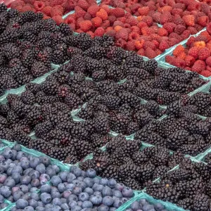 Colorful Berries Print, USA Colorful Berries Print, USA