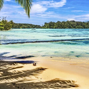 Colorful Hauru Point beach palm trees, Moorea, Tahiti, French Polynesia