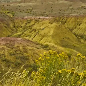 Colorful hills, Badlands Loop Road, Badlands National Park, South Dakota, USA
