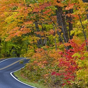 Colorful maple trees in autumn line scenic Highway 41 as it leads into Copper Harbor