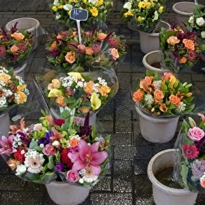 A colorful variety of cut flowers at the Bloemenmarket