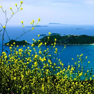 Corfu, Greece. Aerial view of a circular beach and land on Corfu with yellow wild flowers