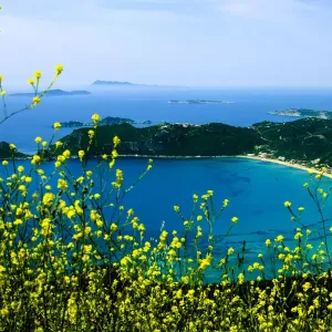 Corfu, Greece. Aerial view of a circular beach and land on Corfu with yellow wild flowers Corfu, Greece. Aerial view of a circular beach and land on Corfu with yellow wild flowers