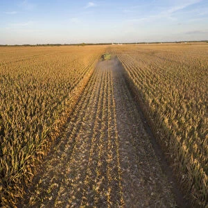 Corn harvest, John Deere combine harvesting cornl, Marion County, Illinois