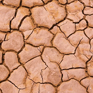 Cracked mud patterns on the playa, Clark Dry Lake, Anza-Borrego Desert State Park