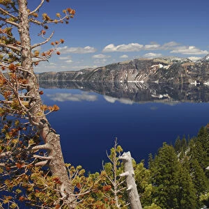 Crater Lake from the Rim, Crater Lake National Park, Oregon, USA