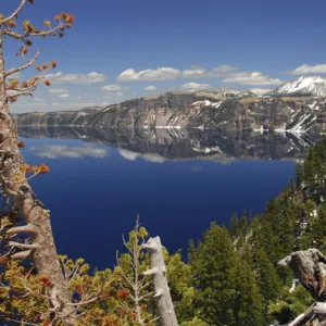 Crater Lake from the Rim, Crater Lake National Park, Oregon, USA