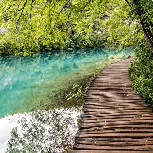 Croatia. Central Croatia. Plitvice Lakes National Park. Walkway along the water in