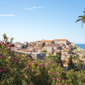 Croatia, Dubrovnik. View from hill above walled city