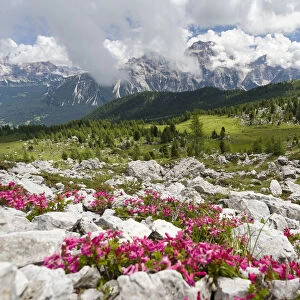 Croda da Lago in the Dolomites of the Veneto near Cortina d Ampezzo