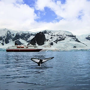 A cruise ship anchored in Neko Harbor, Gerlache Strait, Antarctic Peninsula, Antarctica