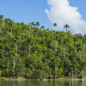Cuba. Artemisa. Las Terrazas. UNESCO biosphere preserve and eco-community in Cuba. Artemisa. Las Terrazas. UNESCO biosphere preserve and eco-community in