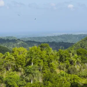 Cuba. Artemisa. Las Terrazas. UNESCO Biosphere Preserve and eco-community in Cuba. Artemisa. Las Terrazas. UNESCO Biosphere Preserve and eco-community in