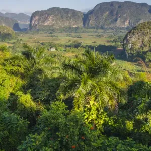 Cuba. Pinar del Rio. Vinales. The Vinales valley in the early morning Cuba. Pinar del Rio. Vinales. The Vinales valley in the early morning