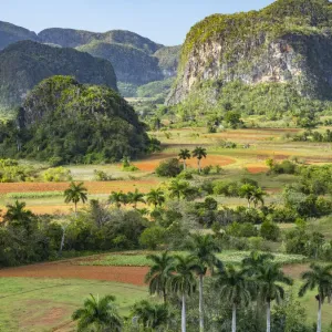 Cuba Vinales Landscape Print