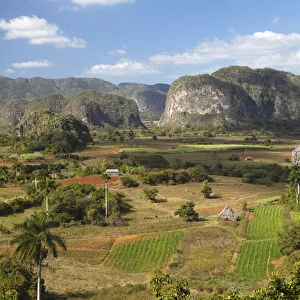 Cuba, Vinales. A view looking over the rich lands of the valley