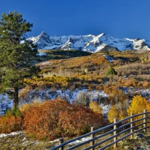 Dallas Mountain and San Juan Mountain Range, Colorado, Autumn colors and aspens glowing Dallas Mountain and San Juan Mountain Range, Colorado, Autumn colors and aspens glowing