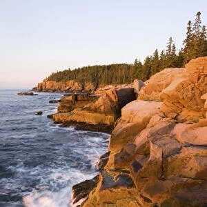 Dawn light on the pink granite ledges of the rocky coast in Maines Acadia National Park