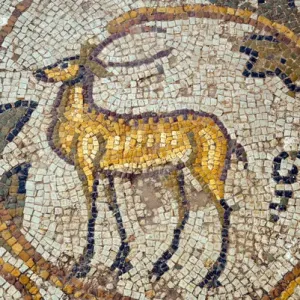Mosaico de Cérvidos, Nueva Casa De La Caza, Sitio Arqueológico de Bulla Regia, Túnez, África del Norte. Mosaico de Cérvidos, Nueva Casa De La Caza, Sitio Arqueológico de Bulla Regia, Túnez, África del Norte.