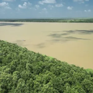 Demerara River Print, Guyana