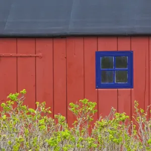 Denmark Jutland Gamle Skagen Red House Print Denmark Jutland Gamle Skagen Red House Print