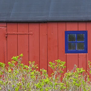 Denmark, Jutland, Gamle Skagen, Old Skagen, red house detail