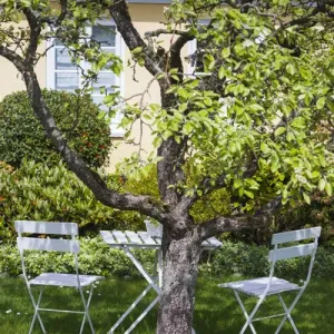 Denmark, Jutland, Skagen, garden chairs