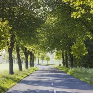 Denmark, Mon, Magleby, country road