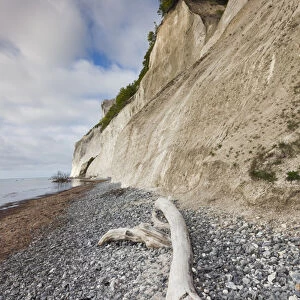 Denmark, Mon, Mons Klimt, 130 meter-high chalk cliffs from the shore