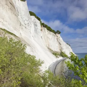 Denmark, Mon, Mons Klimt, 130 meter-high chalk cliffs from the shore