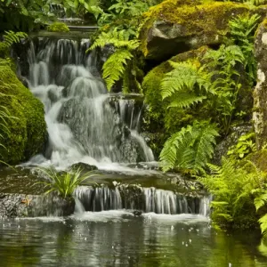 Detail, Heavenly Falls, Lower Pond, Strolling Garden, Portland Japanese Garden, Portland