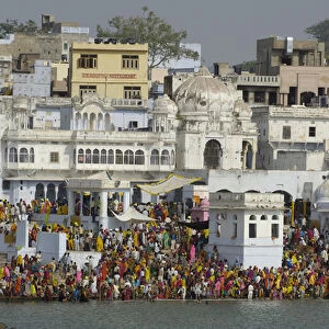 The devout who have come to the Sarovar or Pushkar Lake with its 52 Ghats to bath