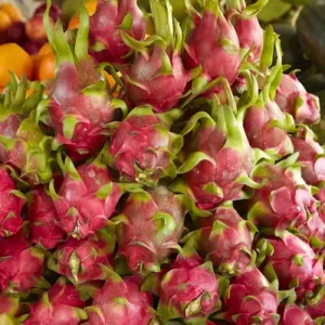 Dragon fruit, Can Duoc Market, Long An Province, Mekong Delta, Vietnam Dragon fruit, Can Duoc Market, Long An Province, Mekong Delta, Vietnam