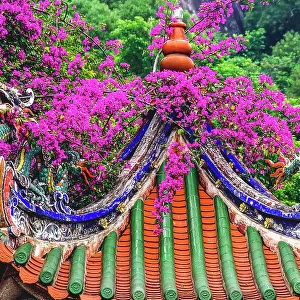 Dragon roof, Zhongde Temple, Xiamen, Fujian Province, China