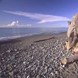 Driftwood and Blue Skies on the Dungeness Spit, Dungeness National Wildlife Refuge