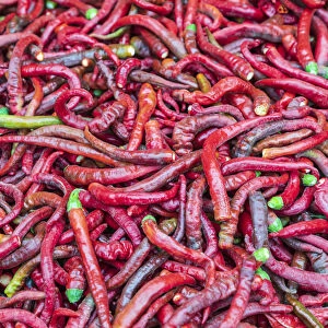 Dushanbe, Tajikistan. Chili peppers for sale at the Mehrgon Market in Dushanbe