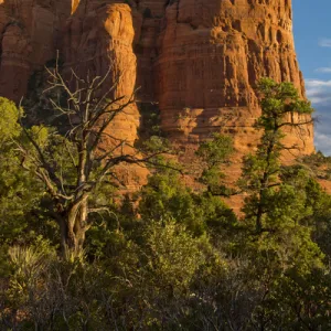 Early Morning; Teapot Trail; Coffee Pot; Coconino National Forest; Sedona; Arizona; USA