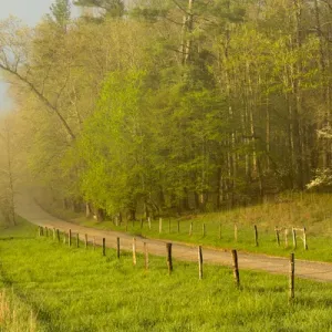 Early morning view of Hyatt Lane, Cades Cove, Great Smoky Mountains National Park