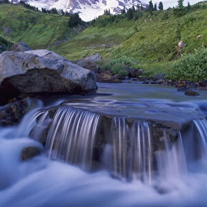 Edith Creek on Paradise Trail near Mt. Rainier National Park lodge, Washington State, USA