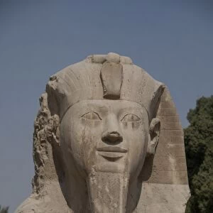 Egypt, Memphis (aka Menufer). Alabaster sphinx of Amenophis II