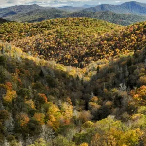 Elevated view of fall colors from Grassy Ridge Overlook, Pisgah National Forest near Brevard