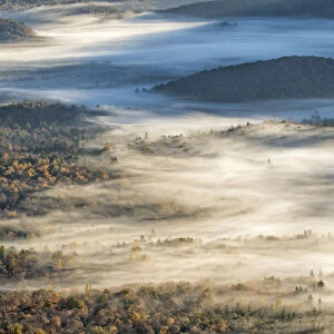 Elevated view of fog filled valley with trees emerging at sunrise, from Pounding Mill Overlook