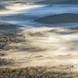 Elevated view of fog filled valley with trees emerging at sunrise, from Pounding Mill Overlook