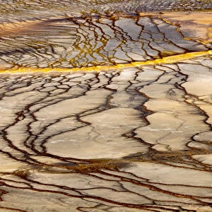 Elevated view of patterns in bacterial mat around Grand Prismatic spring, Midway Geyser Basin, Yellowstone National Park, Wyoming