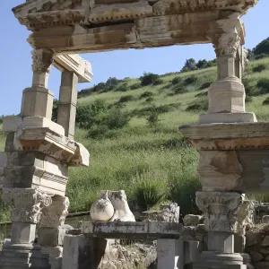 Ephesus Print: Top of the Fountain of Trajan Ephesus Print: Top of the Fountain of Trajan