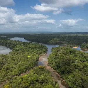 Essequibo River Print, Guyana Landscape